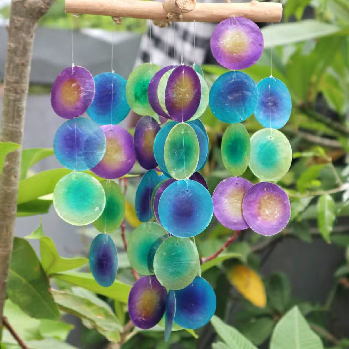 Green and purple capiz shell wind chime hanging from driftwood branch in tropical garden