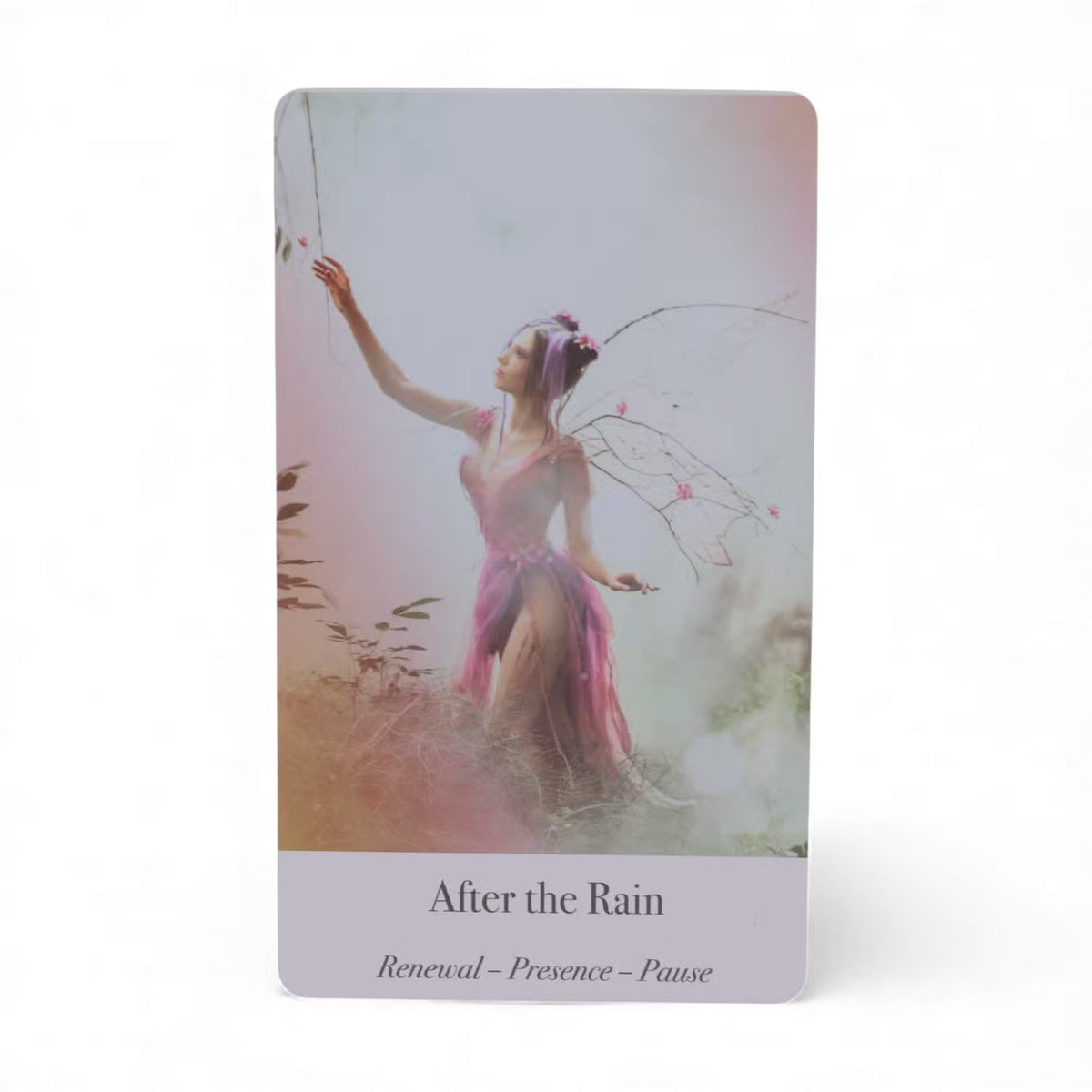 After the Rain oracle card showing fairy figure in pink mist with butterfly wings — Renewal Presence Pause