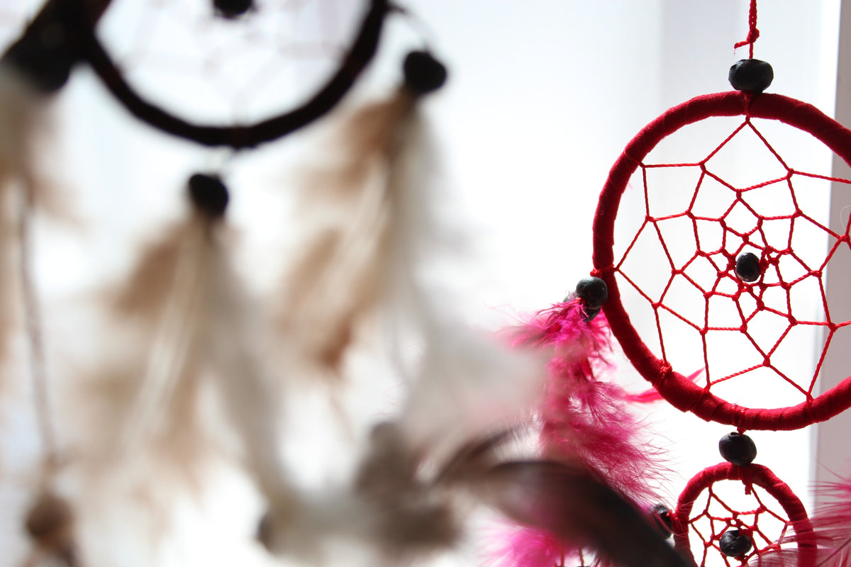Bali dreamcatcher black and white feathers close up medium round dreamcatcher UK